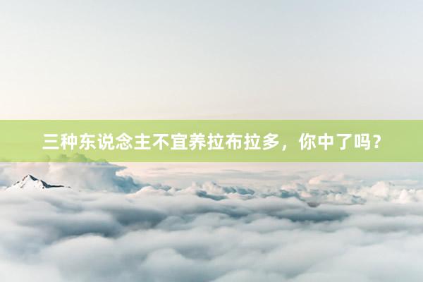 三种东说念主不宜养拉布拉多，你中了吗？