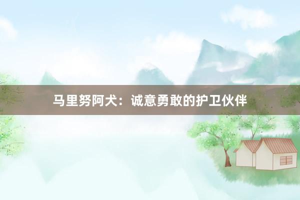 马里努阿犬：诚意勇敢的护卫伙伴
