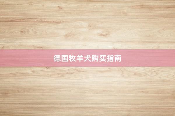 德国牧羊犬购买指南